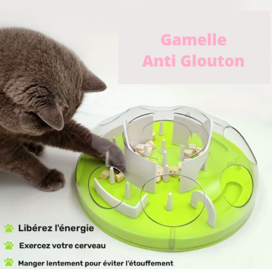 Gamelle anti glouton pour chats