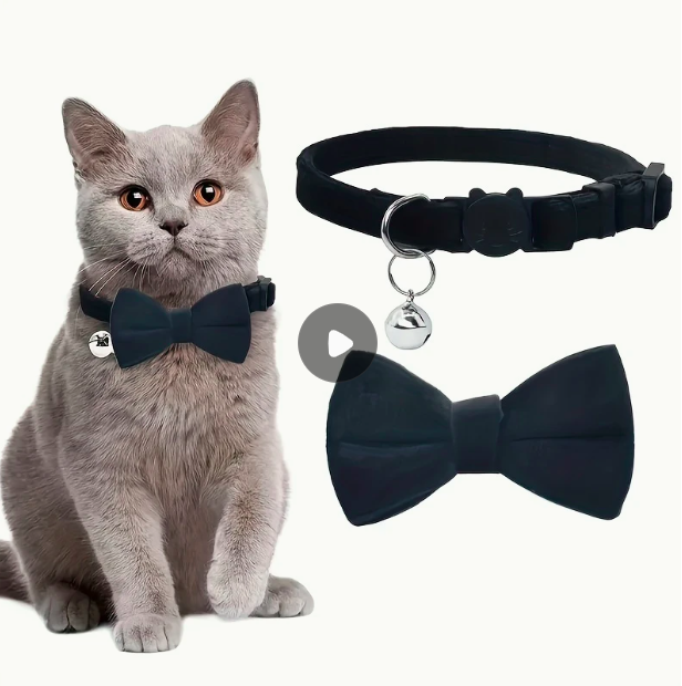 Collier nœud papillon pour chats