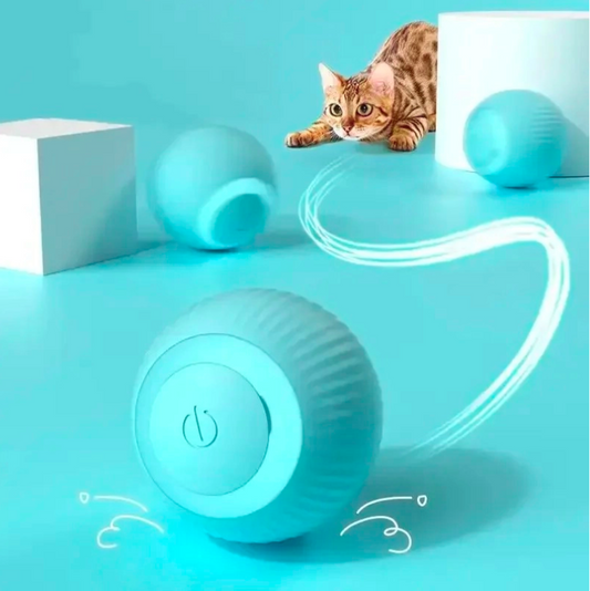 Balle interactive pour chats