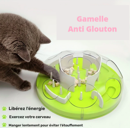 Gamelle anti glouton pour chats