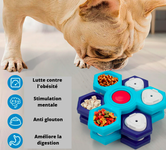 Distributeur de friandises - Jouet de stimulation mentale